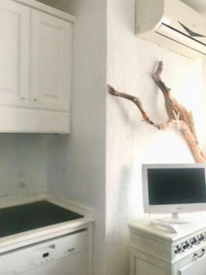 Porto Rotondo Lovely Apartment