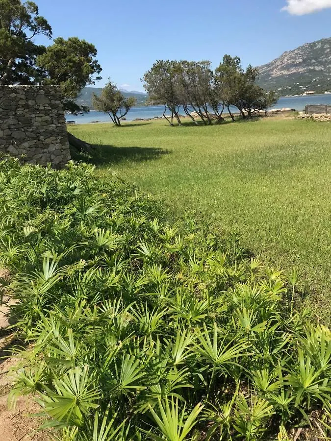 Porto Rotondo Lovely Apartment İtalya
